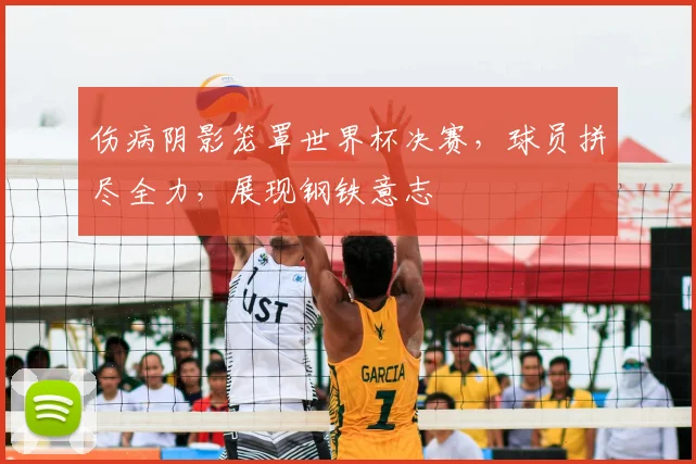 伤病阴影笼罩世界杯决赛,球员拼尽全力,展现钢铁意志